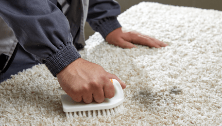 Professional Rug Cleaning Indented Head